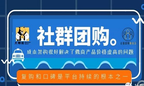 他服务200+社群团购平台从0到1起盘，综合月流水5亿+1