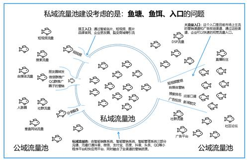 什么叫私域流量直播1