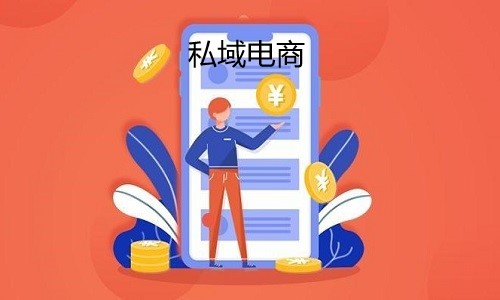 私域电商很难做？全套运营方案就在这