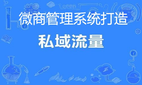 微商管理系统教你玩转营销，打造顶级私域流量池