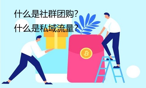 什么是社群团购？什么是私域流量？