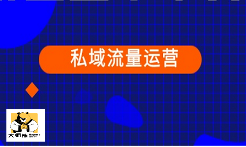 火爆社群团购平台的私域流量有多牛？