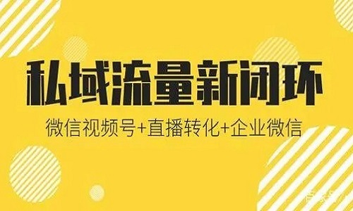 微信视频号和私域直播将成为下一个风口？