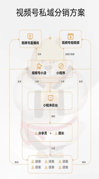 大师熊系统更新：视频号对接+跨境合规+团店自提6