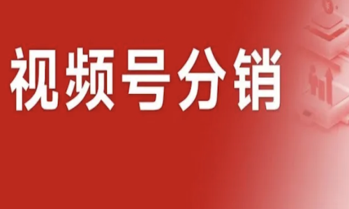 为什么说做视频号分销一定要选择大师熊？